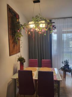 Zielona Wiolinowa - 5