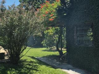 Calma Villa Elisa - 8