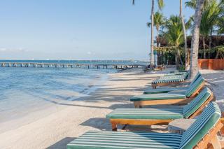 Mayan Monkey Isla Mujeres - Social Hotel - 3