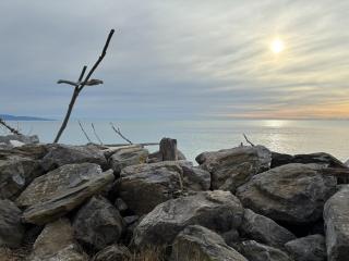 Ocean Sounds - Where Style Meets Nature - 3