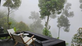 Wanagiri Cabin Cepaka - 1