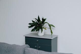 Margret & Mildred Executive Apartments - 7