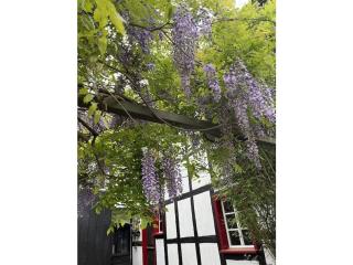 Noah - Sea Life on Time - 9