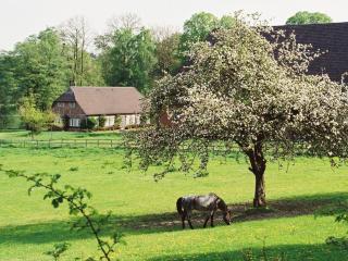 Biebernest Comfortable holiday residence - 9