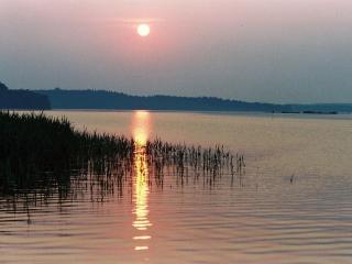 Biebernest Comfortable holiday residence - 8