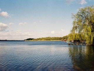 Biebernest Comfortable holiday residence - 3