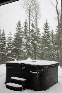 Chalet Capri Charlevoix - 3