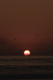 Casa Chula Hotel Boutique Frente al Mar - 8