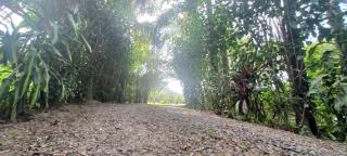 Chácara mobiliada próximo Br 101 - 3