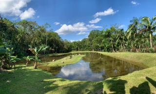 PARAISO do TOMATE - 9