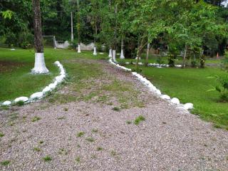 PARAISO do TOMATE - 7