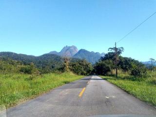 PARAISO do TOMATE - 5