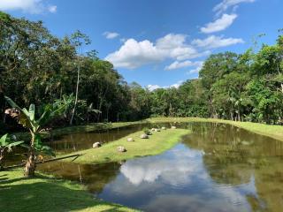 PARAISO do TOMATE - 3