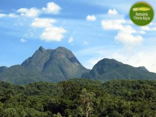 PARAISO do TOMATE - 1