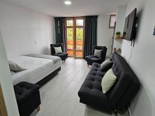 Girasoles del parque - 4