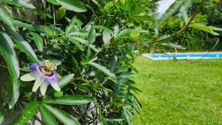 Quinta Las Moras, historias en la naturaleza - 7