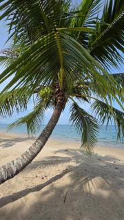 Talayngamvilla ทะเลงามวิลล่ารีสอร์ท - 7