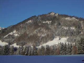 Schwarzachen Alm - Haus Daniel - 3