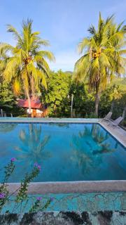 4 Amigos El Zonte - 4