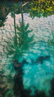 4 Amigos El Zonte - 3