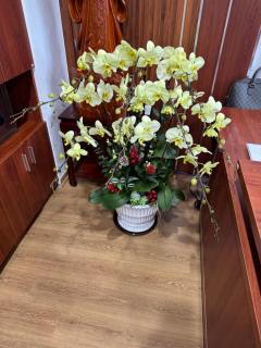 Viet home stay - Nghi Tam - Near West Lake - 1