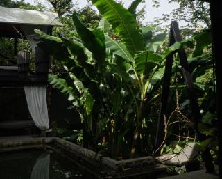 Canaima Chill House - 6