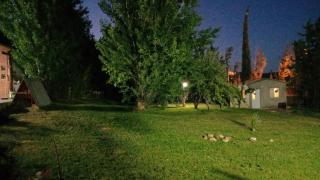 Cabaña Miss sueños - 2