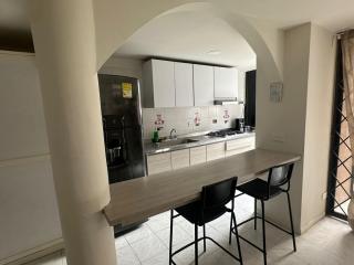 Apt 201 - San Fernando - 0