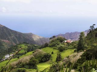 Mantis St Helena - Jamestown - 7