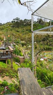 Mùa Hoa Ở Lại homestay - 6