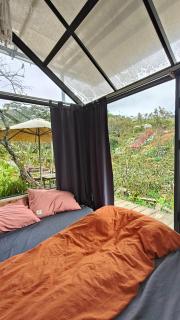 Mùa Hoa Ở Lại homestay - 3