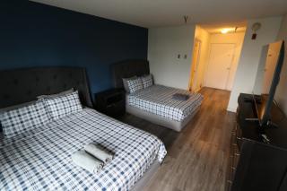 Private Apt with Queen bed in great neighborhood - 1