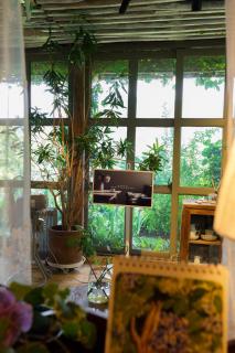 Hilltop House-Vintage Retreat-Garden&Mountain View - 7