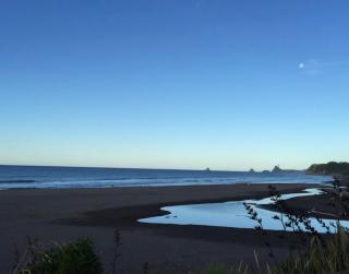 Tropical Oasis in Oakura - 9