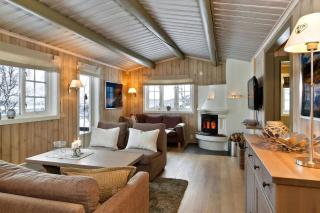 Cozy Cabin In Birch Forest Near Hemsedal - 8