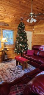 Tennessee Risky cabin - 9