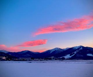 Snowy Forest House with Daily Wild Ezo Squirrels Near Tomamu - 6