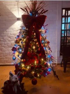 Finca el origen 2025 - 9