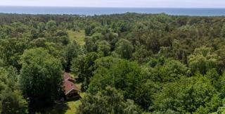 Cozy And Modern Holiday Home In The Woods - Spidsegård - 9