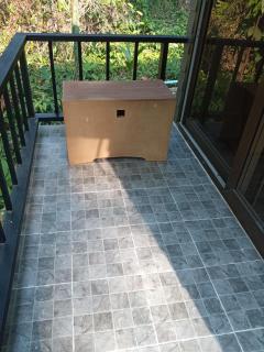 Jungle of Smiles - 3