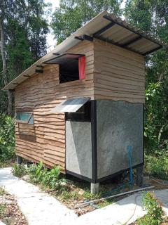 Jungle of Smiles - 1