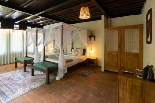 Wild Monkey Jungle Villa - 4 Bedroom Villa - 4