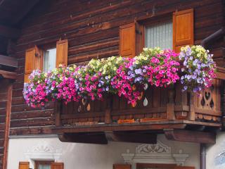 Baita Gen - Livigno - 3