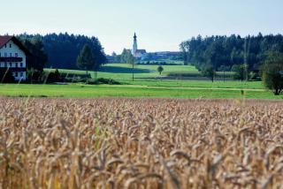 Gasthaus Hingerl - Obing - 2