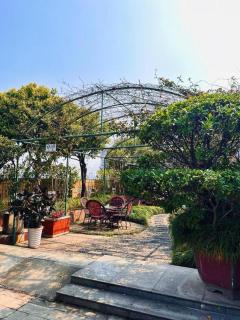 Gem Flower Jinyu Sunshine Hotel - 4