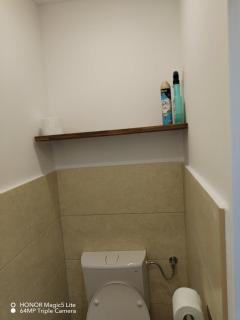 Grany's Retro Guesthouse near Budapest AirPort - 5