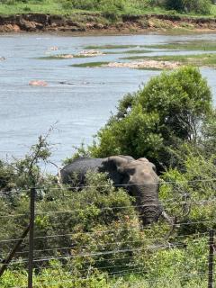 Beautiful Home Mjejane Private Game Reserve - 8