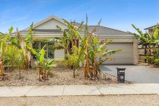 Palms by the sea - 0