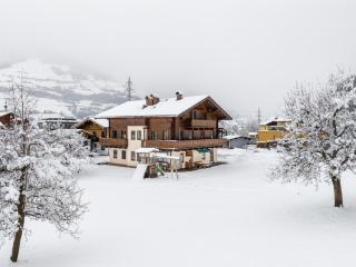 Mittersill apartment close to ski lifts - 3