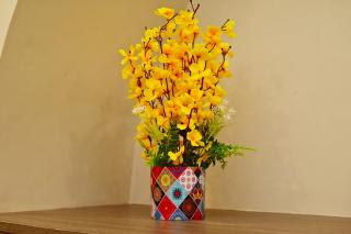 Bluebells Varanasi - 1